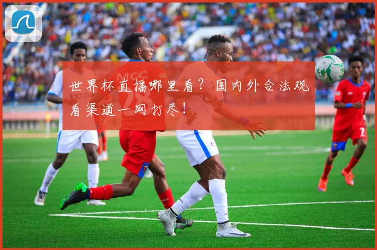 世界杯直播哪里看？国内外合法观看渠道一网打尽！