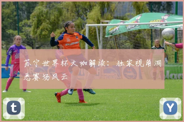 苏宁世界杯大咖解读：独家视角洞悉赛场风云